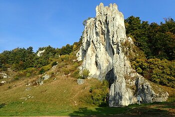 Dohlenfelsen