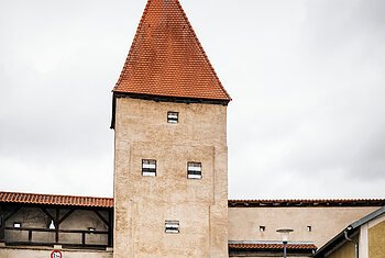 Radler auf dem Altmühltal-Radweg in Dollnstein