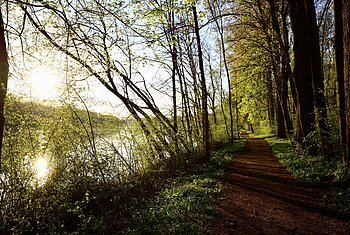 Englischer Garten