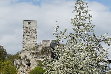 Burg Wellheim im Frühling