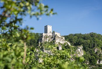 Burgruine Wellheim