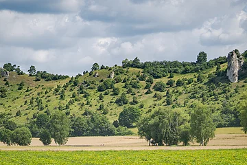 Hügelige Landschaft mit grünen Bäumen und Sträuchern, im Vordergrund ein Feld, bewölkter Himmel.