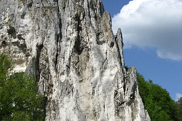 Felsformation mit steiler weiß-grauer Oberfläche, davor Wiese, Bäume und Verkehrsschilder bei blauem Himmel.