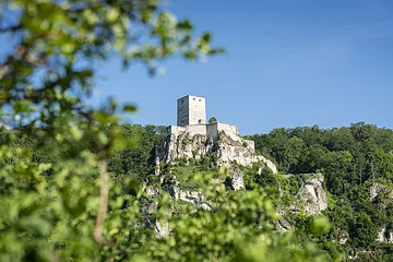 Burgruine auf einem bewaldeten Felsen unter blauem Himmel, im Vordergrund unscharfe grüne Blätter.