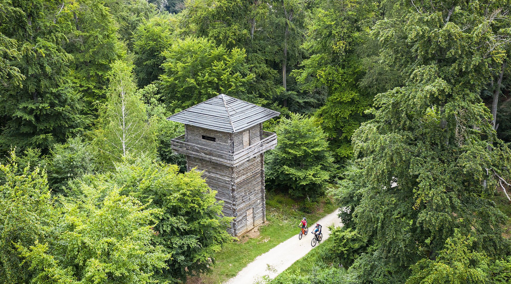 Holzturm neben einem Waldweg mit zwei Radfahrern, umgeben von dichtem grünem Laubwald.