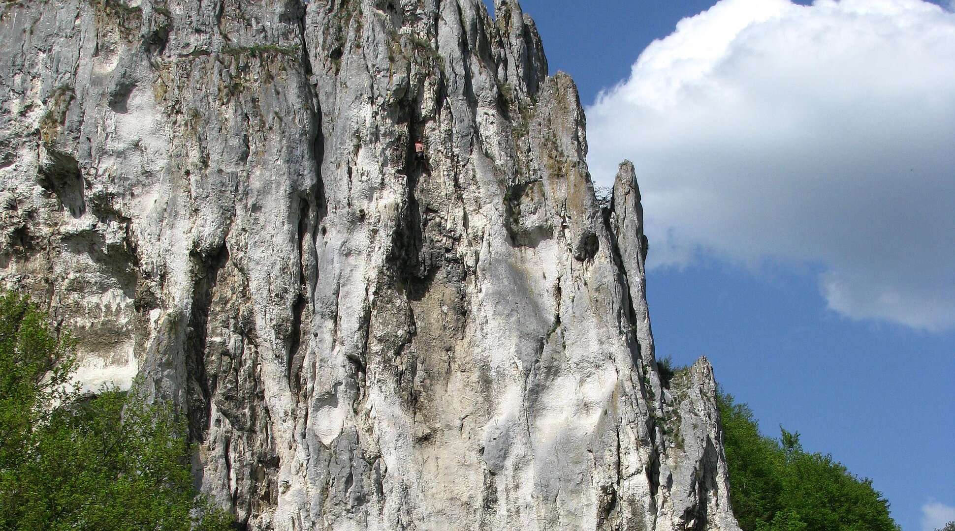 Felsformation mit steiler weiß-grauer Oberfläche, davor Wiese, Bäume und Verkehrsschilder bei blauem Himmel.