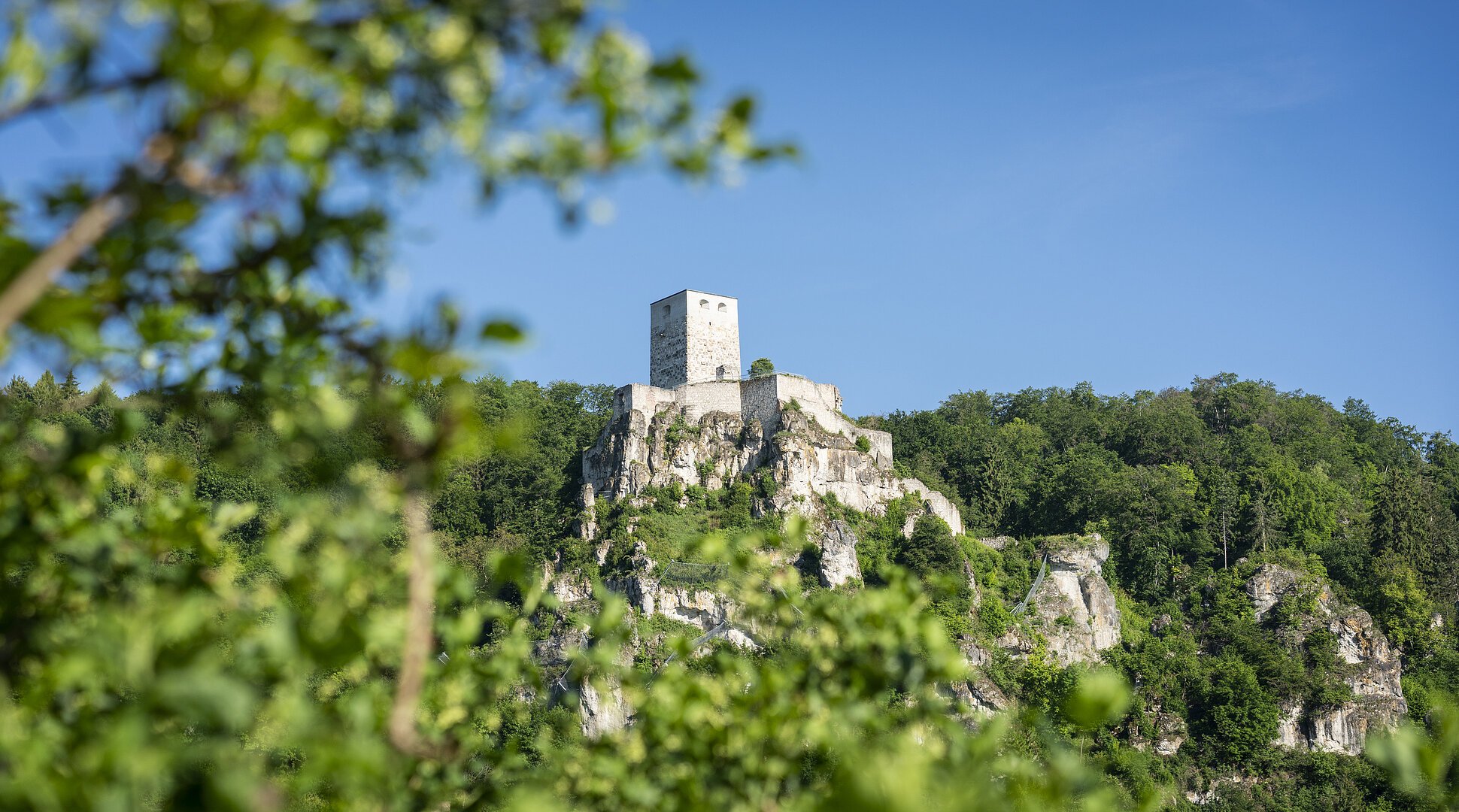 Burgruine auf einem bewaldeten Felsen unter blauem Himmel, im Vordergrund unscharfe grüne Blätter.