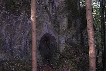 Felswand mit dunklem Höhleneingang im Wald, zwei Baumstämme im Vordergrund sichtbar.