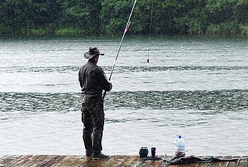 Angler an der Donau Person steht auf Holzsteg und angelt an einem See mit bewaldetem Ufer im Hintergrund.