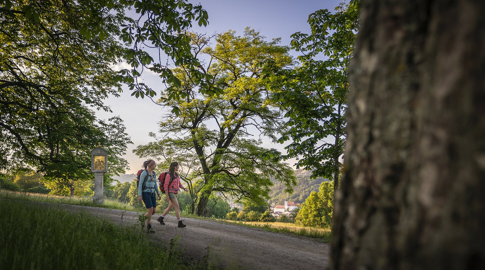 Zwei Wanderer mit Rucksäcken gehen auf einem Waldweg, umgeben von Bäumen und grüner Landschaft.