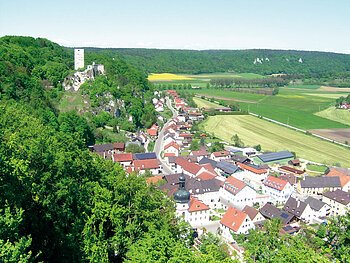 Blick auf ein Dorf mit Kirche und Burgruine auf bewaldetem Hügel, umgeben von Feldern und Wiesen.