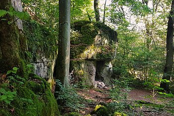 Blick auf das "Zigeunerloch" eine Höhlen- und Felsformation bei Wellheim