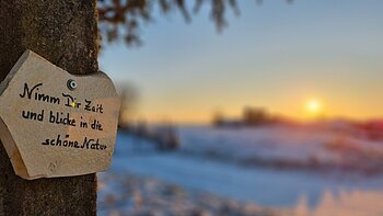 Schild mit der Aufschrift „Nimm Dir Zeit und blicke in die schöne Natur“ an einem Baum im Winter bei Sonnenuntergang.