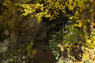 Eingang einer Höhle mit Gitter, umgeben von herbstlichen gelben Blättern und Felsen.