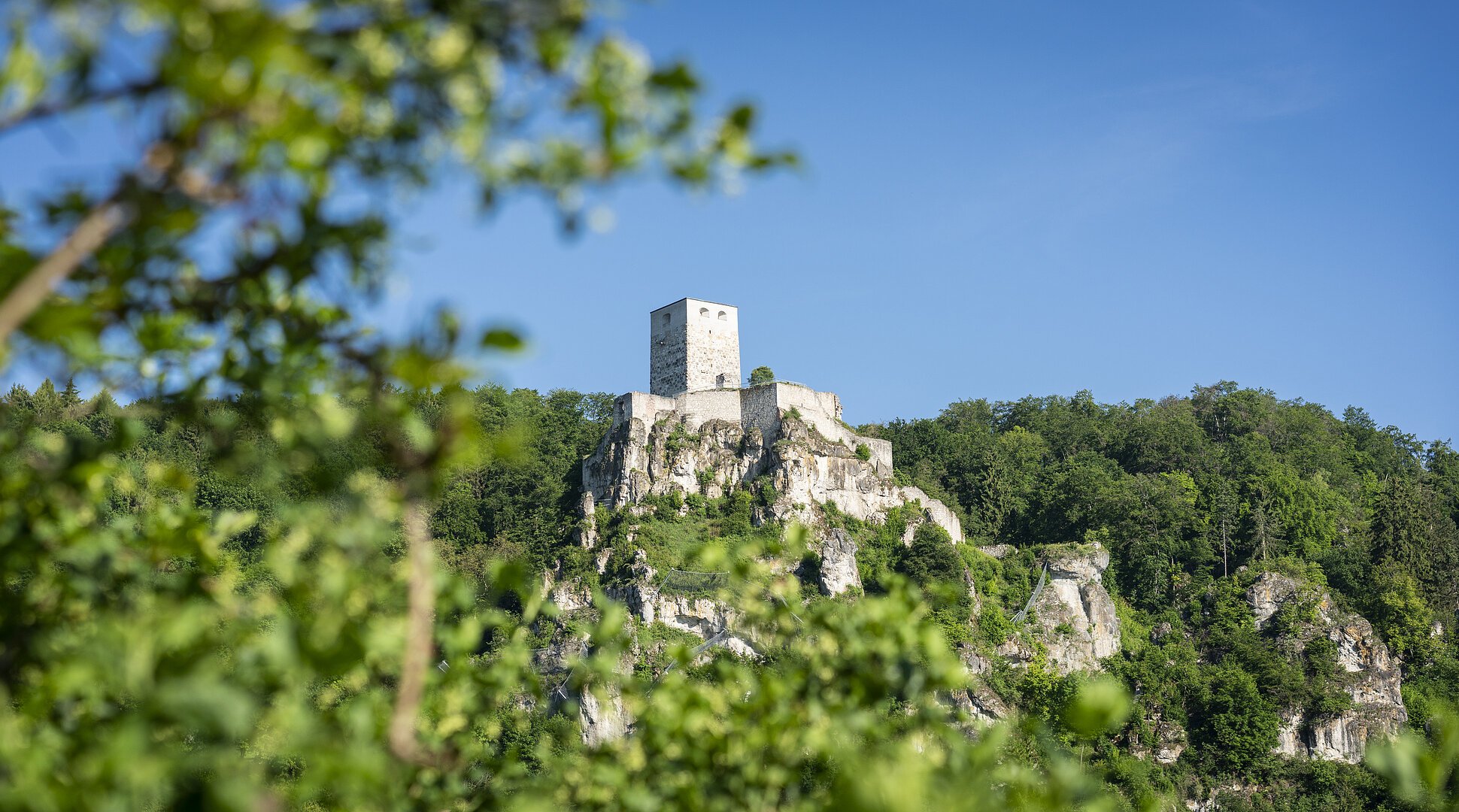 Burgruine auf einem bewaldeten Felsen unter blauem Himmel, im Vordergrund unscharfe grüne Blätter.