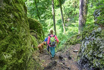 Jägersteig bei Dollnstein Zwei Wanderer mit Hund gehen auf einem Waldpfad zwischen moosbedeckten Felsen bergab, einer hält ein Seil.