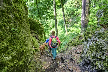 Zwei Wanderer mit Hund gehen auf einem Waldpfad zwischen moosbedeckten Felsen bergab, einer hält ein Seil.