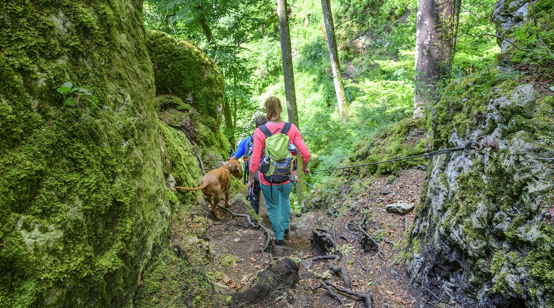 Zwei Wanderer mit Hund gehen auf einem Waldpfad zwischen moosbedeckten Felsen bergab, einer hält ein Seil.