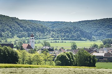 Blick auf Dollnstein