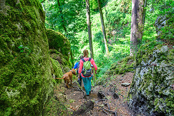 Jägersteig bei Dollnstein Jägersteig bei Dollnstein