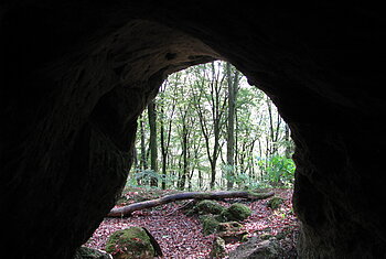 Höhle bei Aicha im Wellheimer Trockental, auch Urdonautal genannt. Blick aus dem Höhleninneren