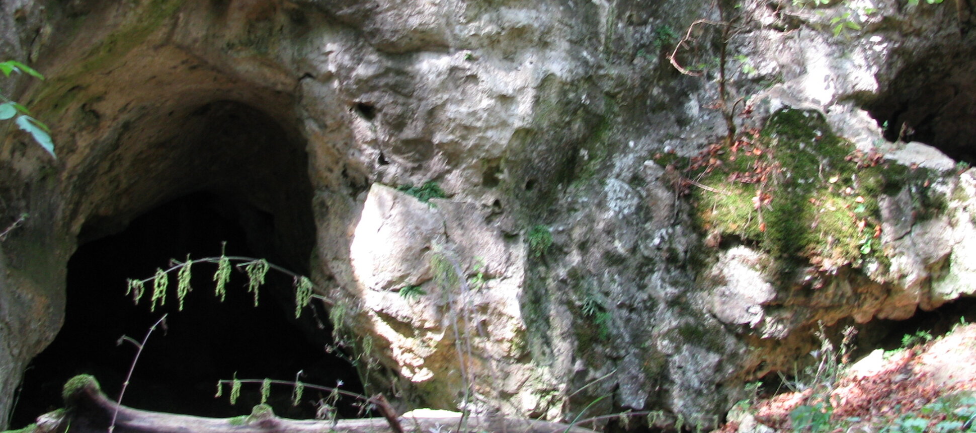 Höhle bei Aicha im Wellheimer Trockental, auch Urdonautal genannt. Blick von außen auf den Höhleneingang